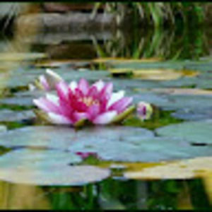 Meet your Posher, Kathleen